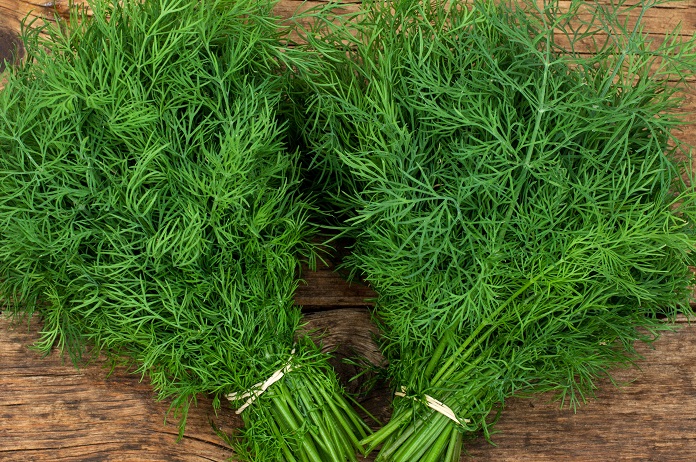 dill-bunches | Hessey Farmstead